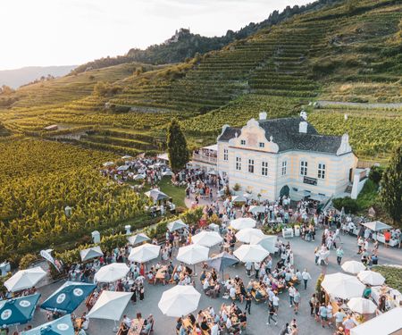 Domäne Wachau - spannende Wein- und Genuss-Events 2022
